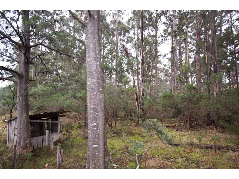209  Middle Road, Pelverata TAS 7150