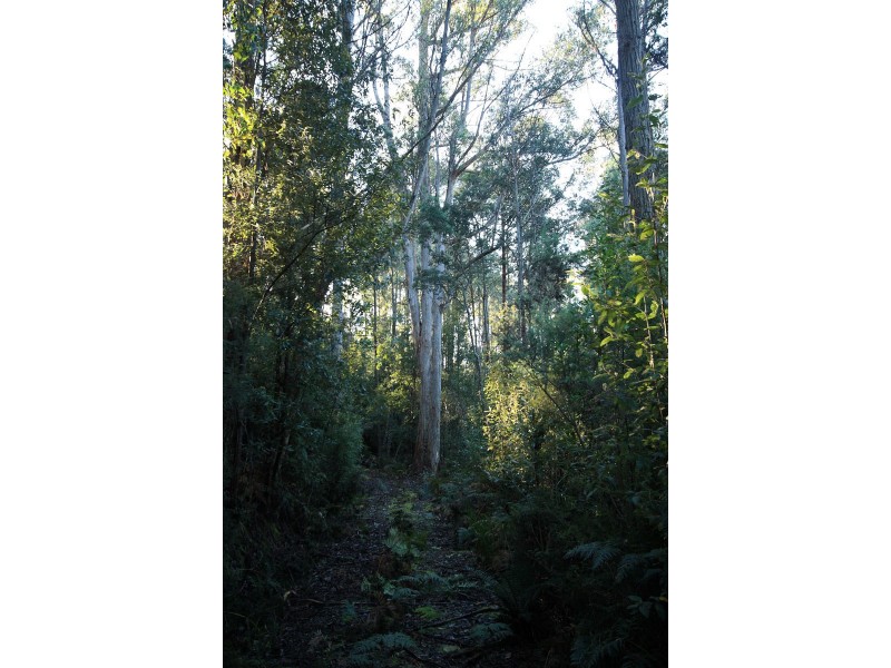 Lot 1 Bygraves Road, Crabtree TAS 7109