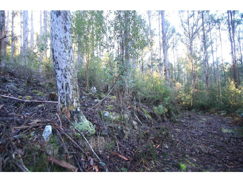Lot 1 Bygraves Road, Crabtree TAS 7109