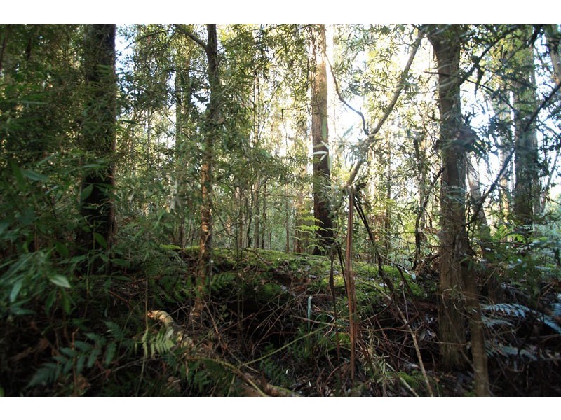 Lot 1 Bygraves Road, Crabtree TAS 7109