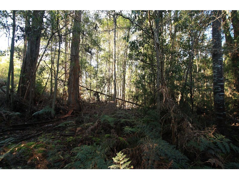 Lot 1 Bygraves Road, Crabtree TAS 7109
