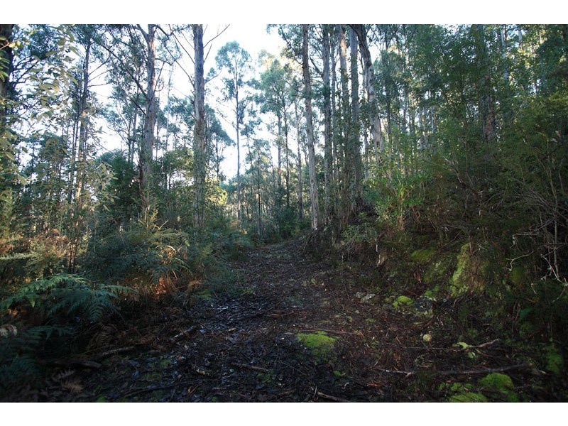 Lot 1 Bygraves Road, Crabtree TAS 7109