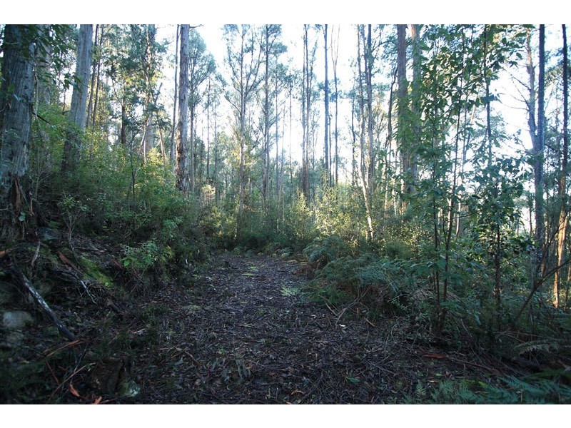 Lot 1 Bygraves Road, Crabtree TAS 7109