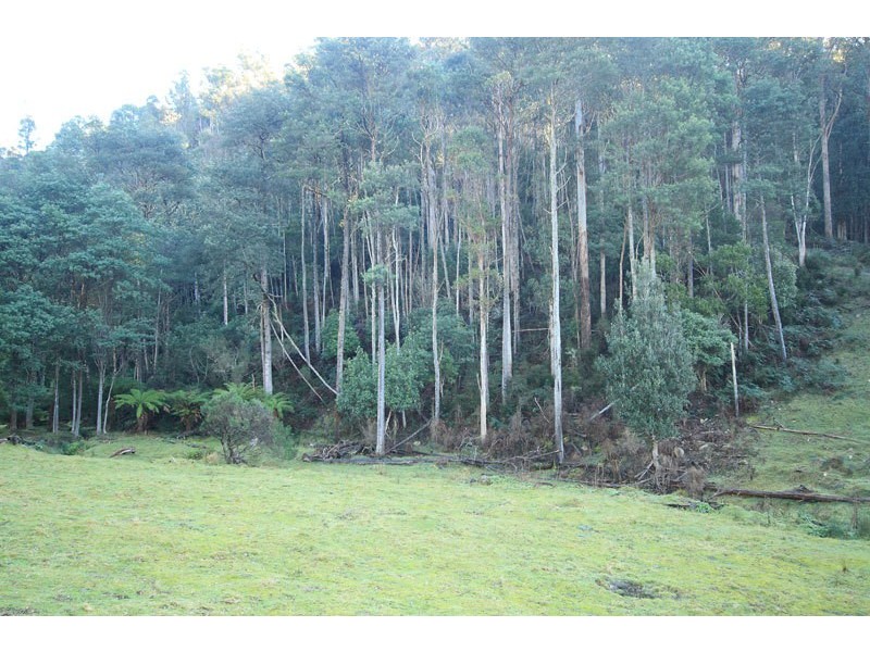 Lot 1 Bygraves Road, Crabtree TAS 7109