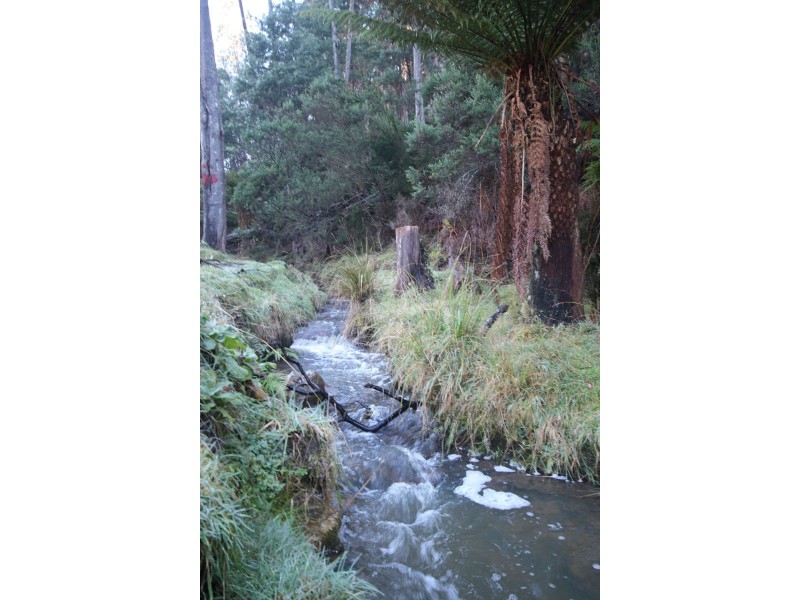 Lot 1 Bygraves Road, Crabtree TAS 7109