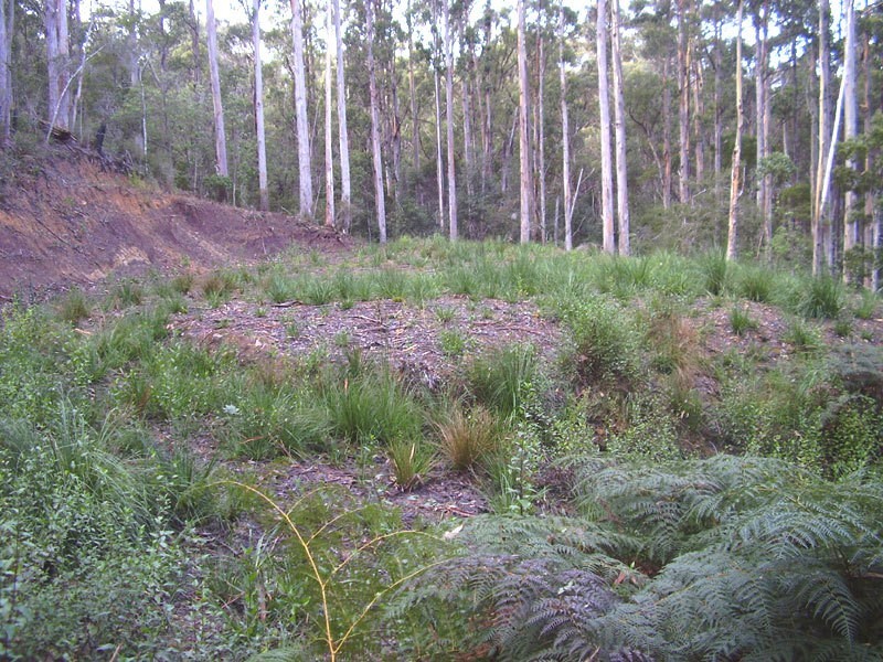 Lot 2 Hastings Esplanade, Hastings TAS 7109