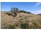 377A Arve Road, Geeveston TAS 7116