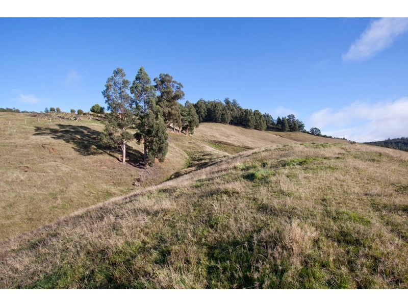 377A Arve Road, Geeveston TAS 7116