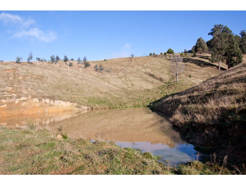 377A Arve Road, Geeveston TAS 7116