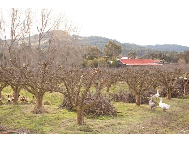 Lot 3 Scotts Road, Geeveston TAS 7116