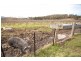 Lot 3 Scotts Road, Geeveston TAS 7116