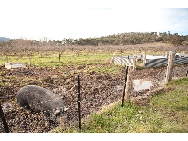 Lot 3 Scotts Road, Geeveston TAS 7116