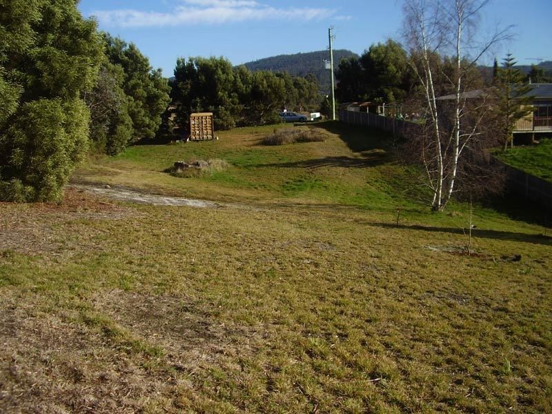 Lot 42 Cemetery Road, Dover TAS 7117