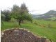98 Pine Lodge Road, Glen Huon TAS 7109