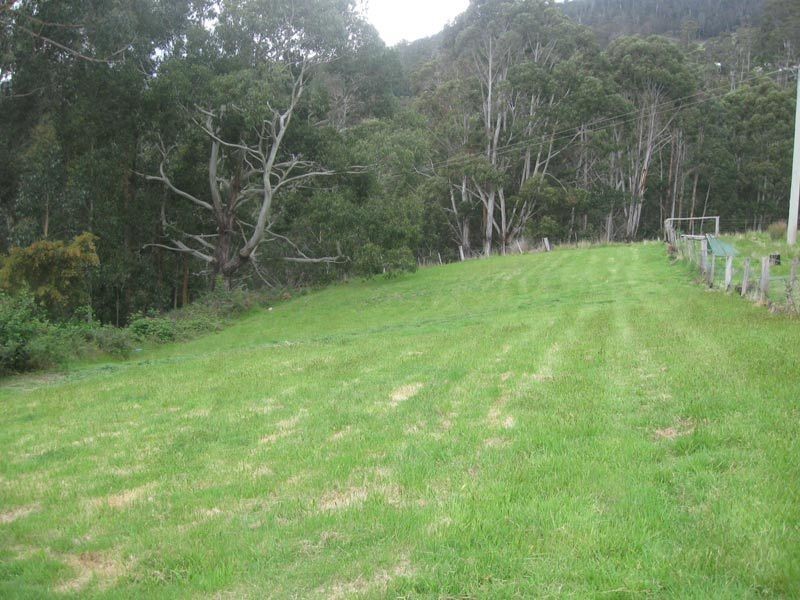 98 Pine Lodge Road, Glen Huon TAS 7109