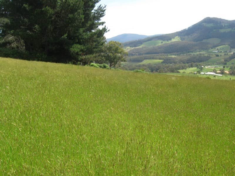 98 Pine Lodge Road, Glen Huon TAS 7109