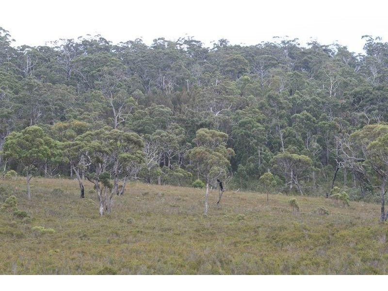 6 lots off Ida Bay  Road, Ida Bay TAS 7109