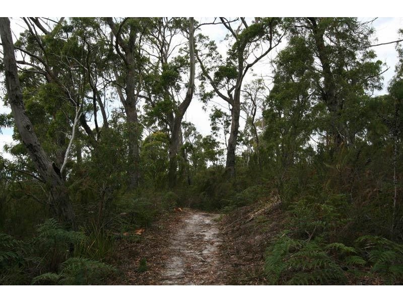 6 lots off Ida Bay  Road, Ida Bay TAS 7109