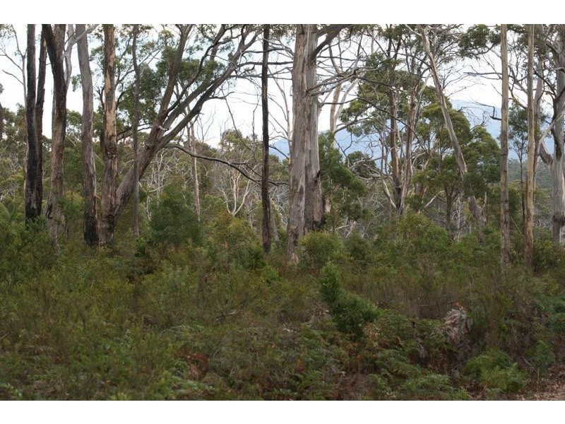 6 lots off Ida Bay  Road, Ida Bay TAS 7109