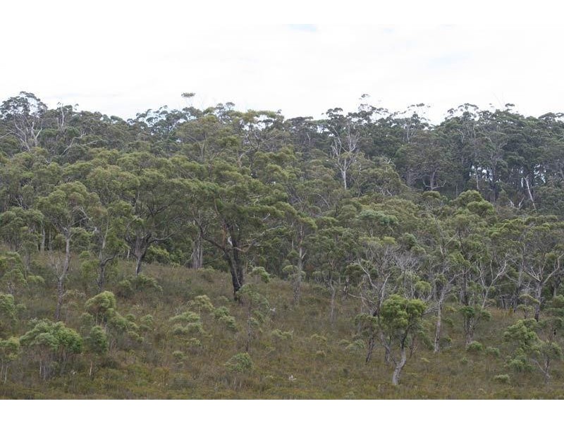 6 lots off Ida Bay  Road, Ida Bay TAS 7109