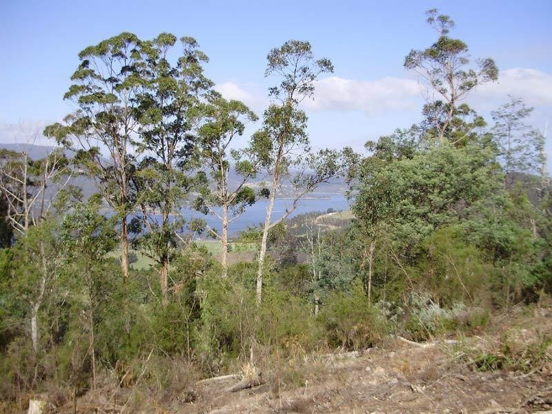 Lot 1 Kings Hill Road, Cygnet TAS 7112