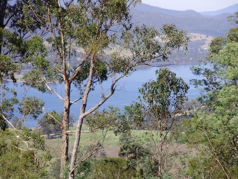 RA Kings Hill  Road, Cygnet TAS 7112