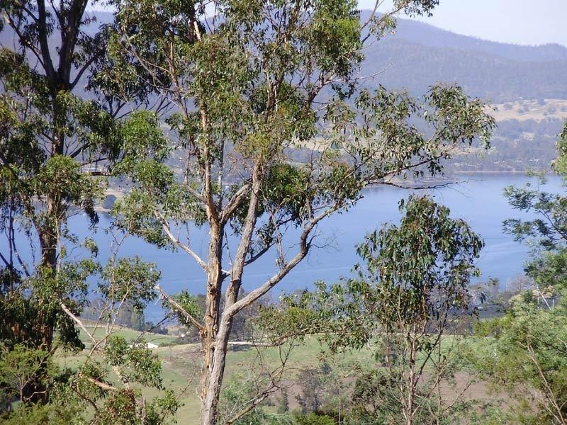 RA Kings Hill  Road, Cygnet TAS 7112