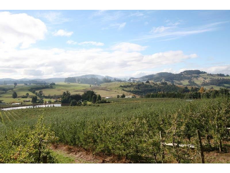 RA Arve Road, Geeveston TAS 7116