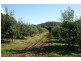 RA Arve Road, Geeveston TAS 7116