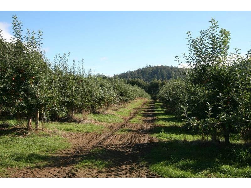 RA Arve Road, Geeveston TAS 7116