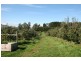 RA Arve Road, Geeveston TAS 7116