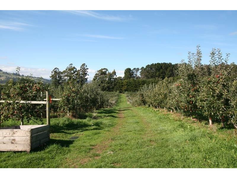RA Arve Road, Geeveston TAS 7116
