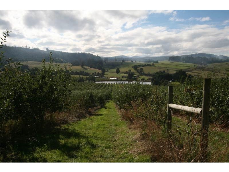 RA Arve Road, Geeveston TAS 7116