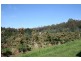 RA Arve Road, Geeveston TAS 7116