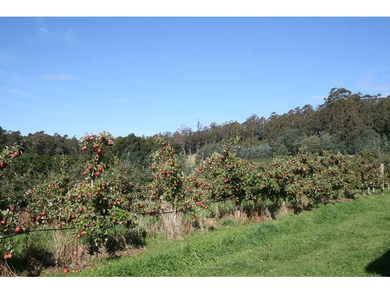 RA Arve Road, Geeveston TAS 7116