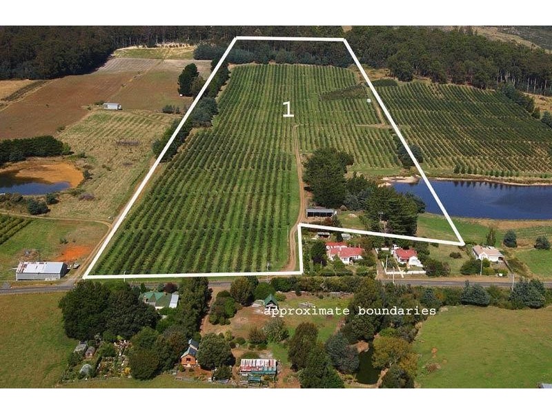RA Arve Road, Geeveston TAS 7116