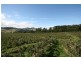 RA Arve Road, Geeveston TAS 7116