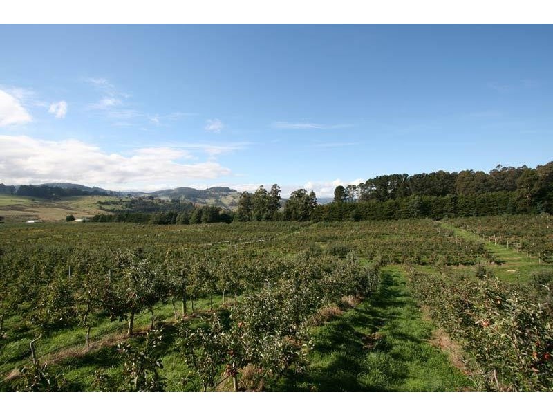 RA Arve Road, Geeveston TAS 7116