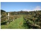 RA Arve Road, Geeveston TAS 7116