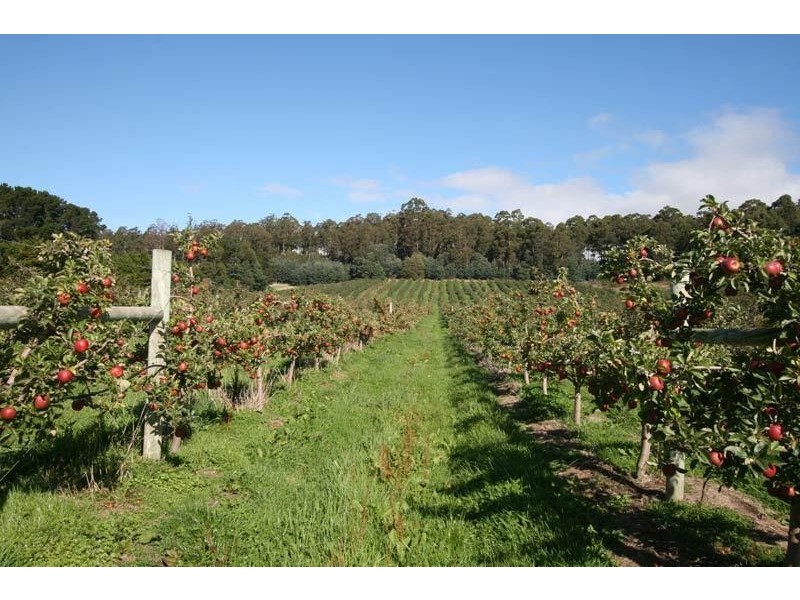 RA Arve Road, Geeveston TAS 7116