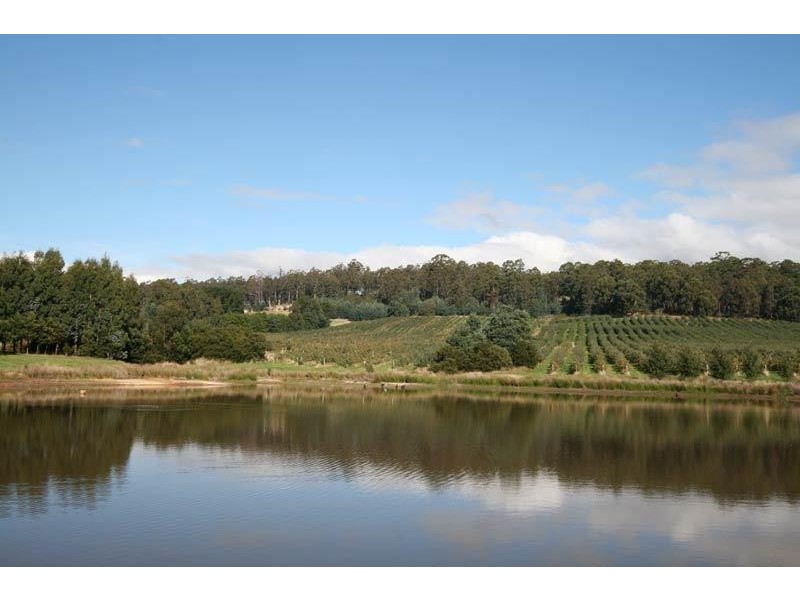 RA Arve Road, Geeveston TAS 7116