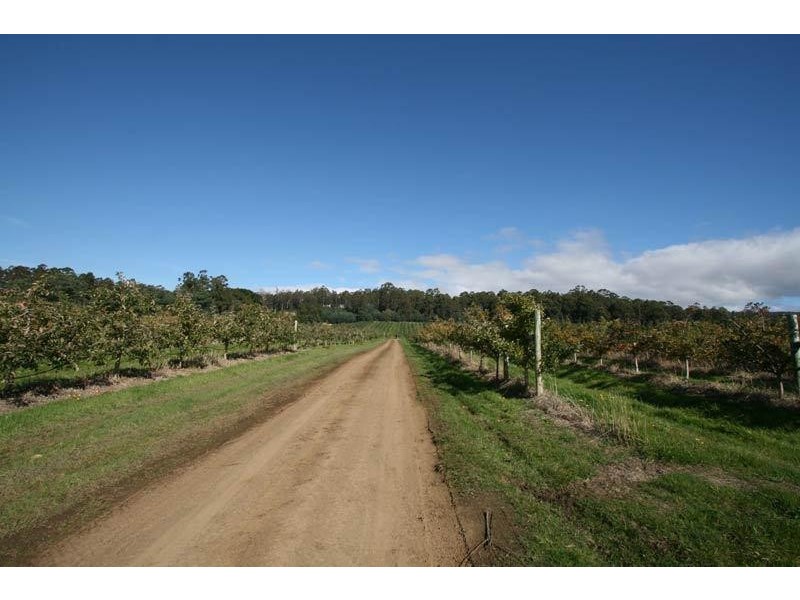 RA Arve Road, Geeveston TAS 7116