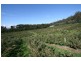 RA Arve Road, Geeveston TAS 7116