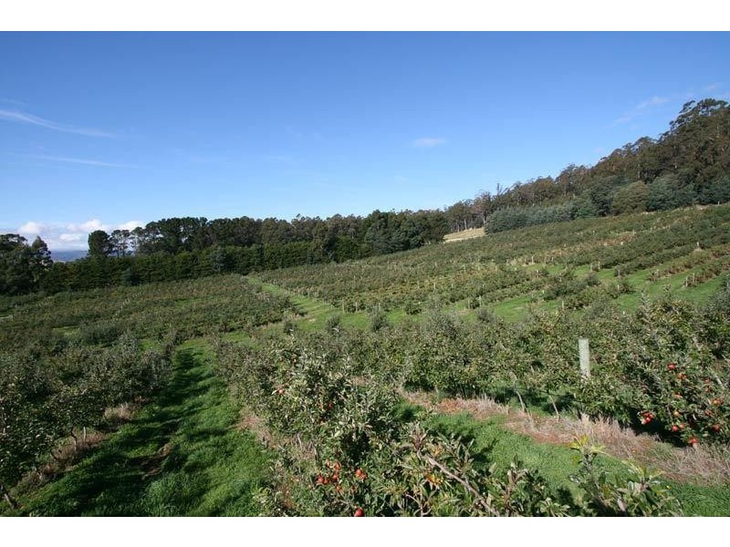 RA Arve Road, Geeveston TAS 7116