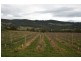 Lot 6 North Huon Road, Ranelagh TAS 7109