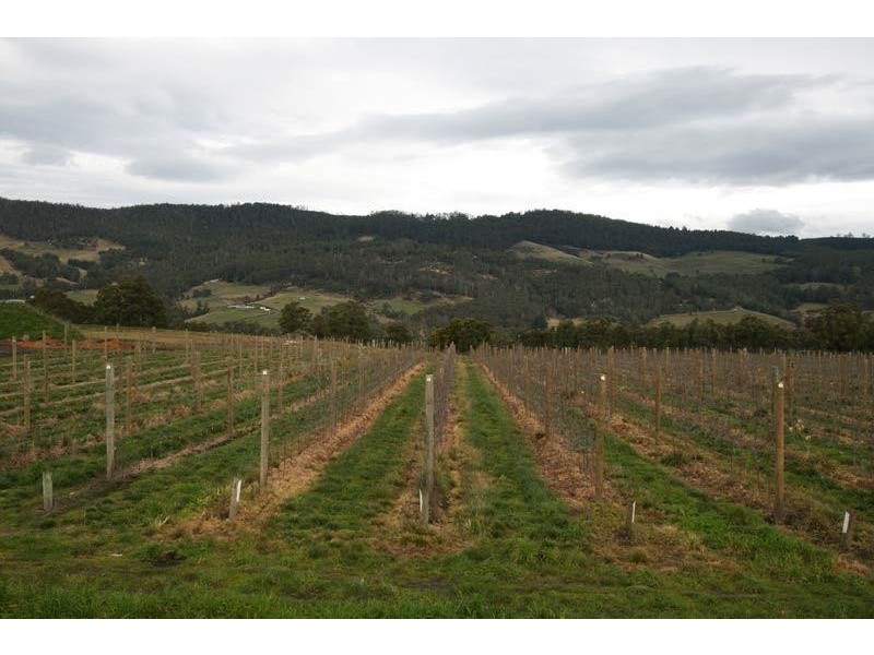 Lot 6 North Huon Road, Ranelagh TAS 7109