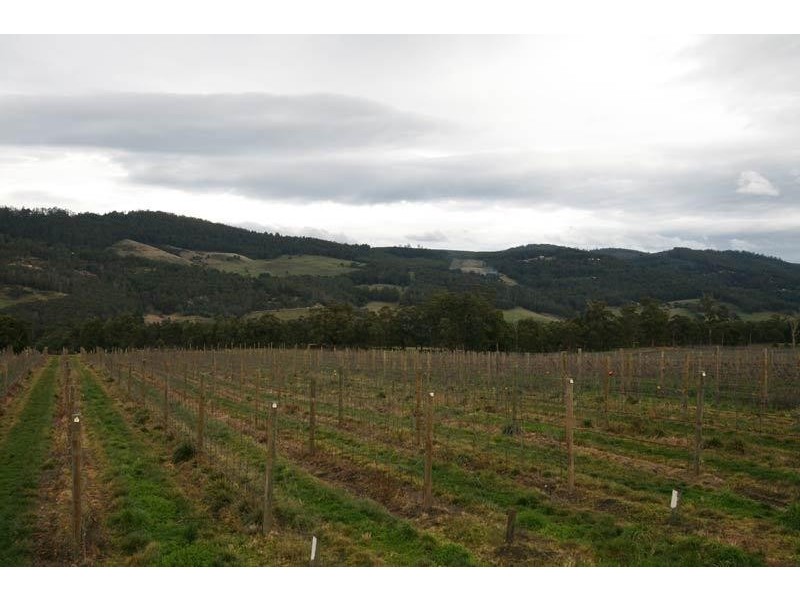 Lot 6 North Huon Road, Ranelagh TAS 7109
