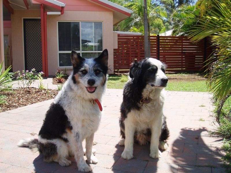 Agnes Water QLD 4677