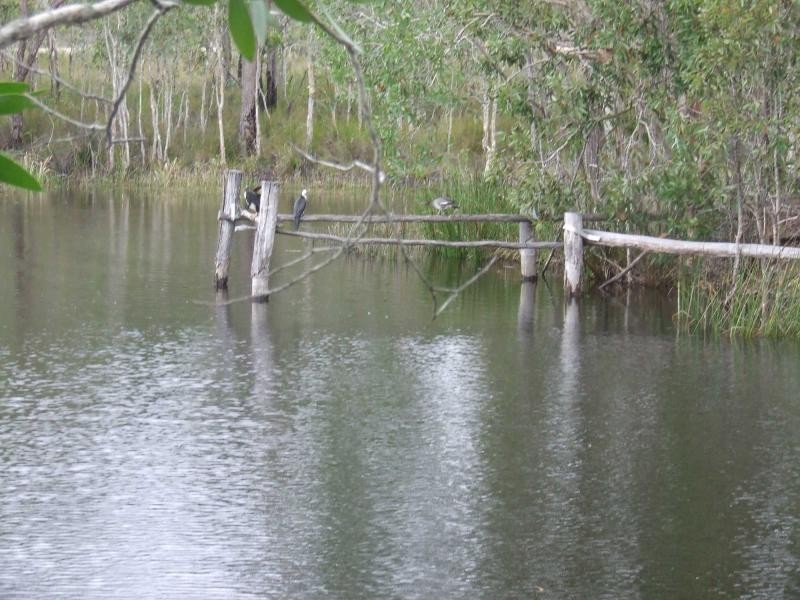 880 Murphy Road, Captain Creek QLD 4677
