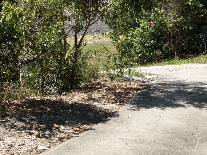 53 Captain Cook Drive, Agnes Water QLD 4677